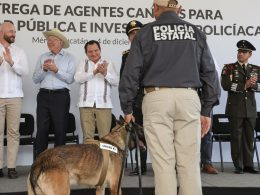 Gob del Edo
