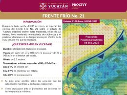 Procivy