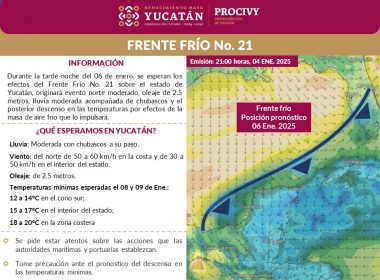 Procivy