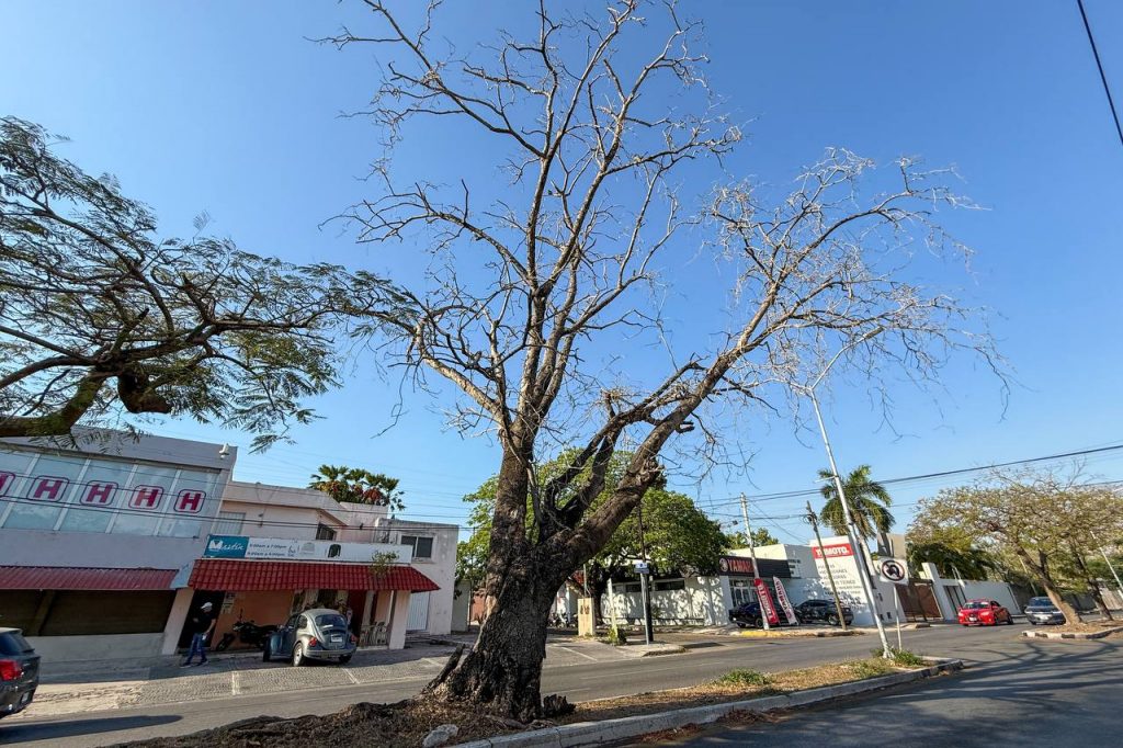 Ayunta Mérida