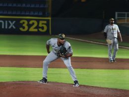Leones de Yucatán